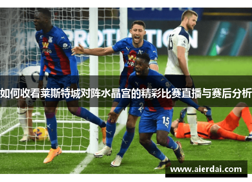 如何收看莱斯特城对阵水晶宫的精彩比赛直播与赛后分析