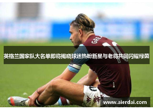 英格兰国家队大名单即将揭晓球迷热盼新星与老将共同闪耀绿茵